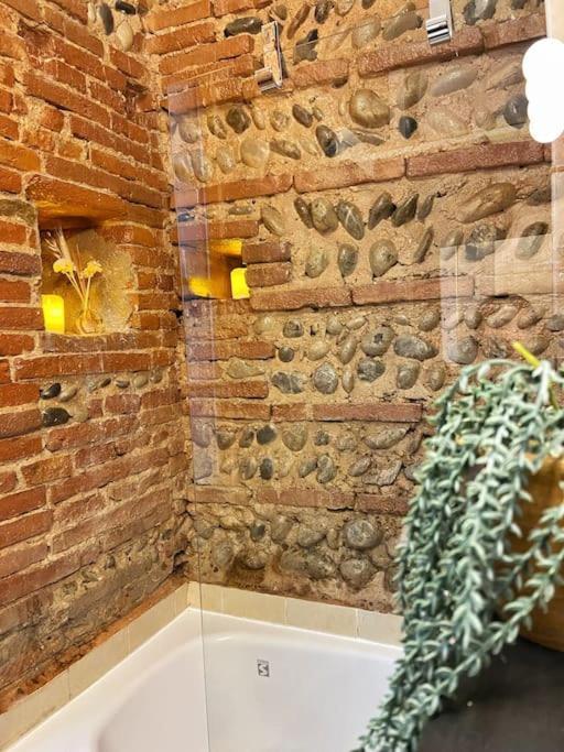 Cocon Cosy Dans La Ville Rose Toulouse Exterior foto