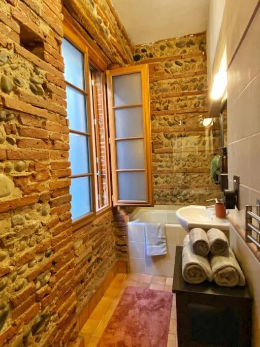 Cocon Cosy Dans La Ville Rose Toulouse Exterior foto